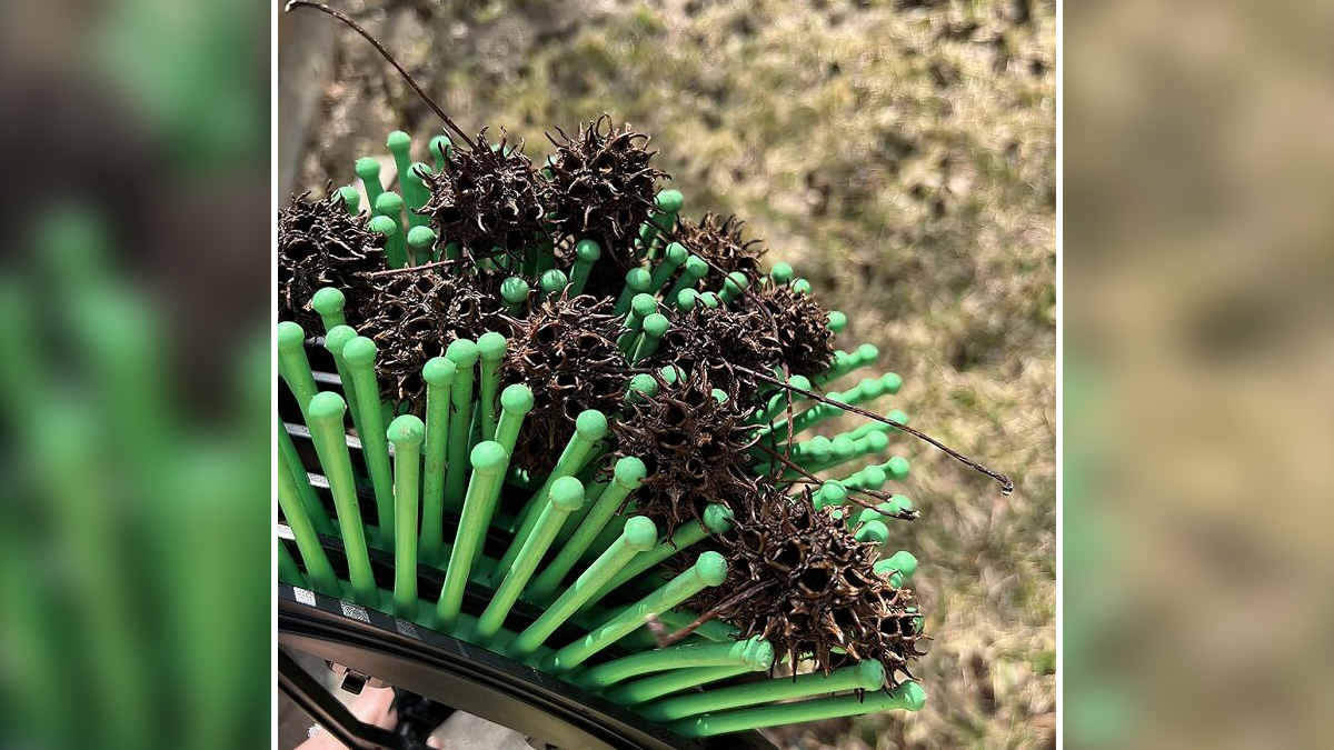 26 Genius Finds For Anyone Whose Gardening Style Is Best Described As ‘Benign Neglect’