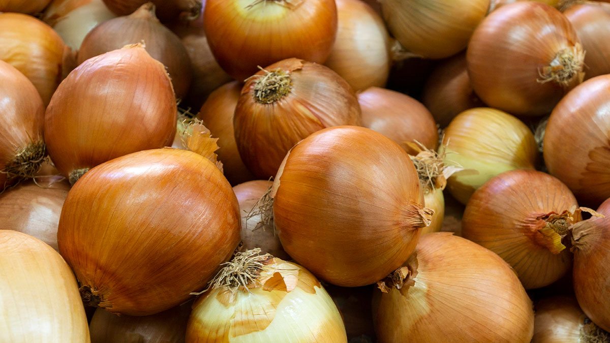 32 Things People Saw Others Do In Public That Left Them Flabbergasted At How Unhinged It Was