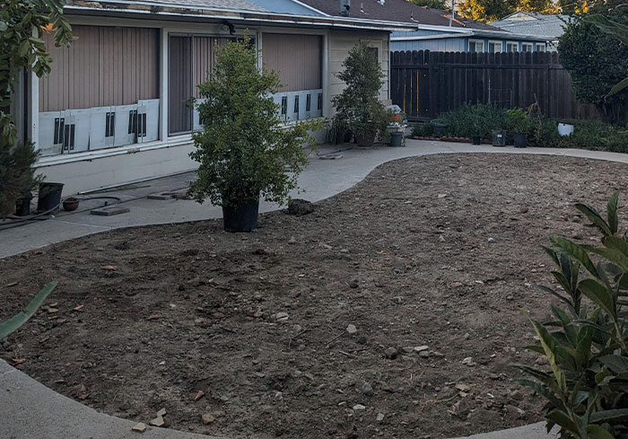 Backyard with empty pool site after complaint against neighbor's shed, highlighting legal trouble. Backyard with empty pool site after complaint against neighbor's shed, highlighting legal trouble.