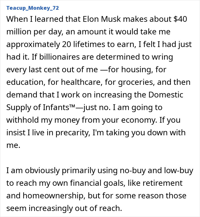 Text discussing the decision to participate in "No-Buy 2025" against consumerism. Text discussing the decision to participate in "No-Buy 2025" against consumerism.