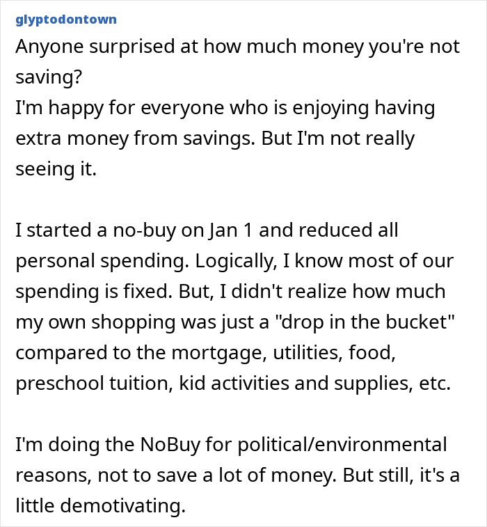 Text on starting a no-buy challenge to reduce consumerism in 2025, sharing thoughts on spending and motivation. Text on starting a no-buy challenge to reduce consumerism in 2025, sharing thoughts on spending and motivation.