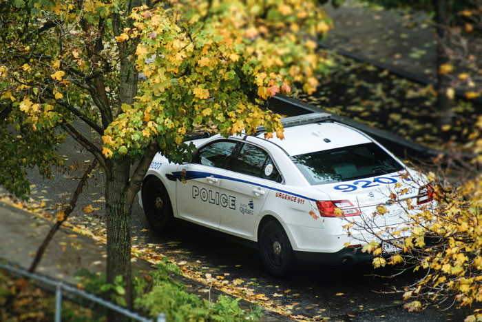 Police car parked on a leafy street, addressing a report involving half-siblings. Police car parked on a leafy street, addressing a report involving half-siblings.