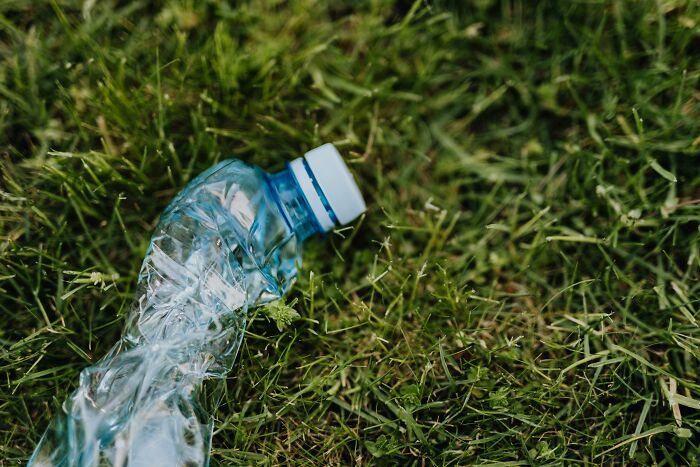 A crumpled plastic bottle lies on grass, evoking thoughts on environmental awareness and pollution.