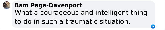 Comment about a brave response in a traumatic encounter with alleged predator from TikTok. Comment about a brave response in a traumatic encounter with alleged predator from TikTok.
