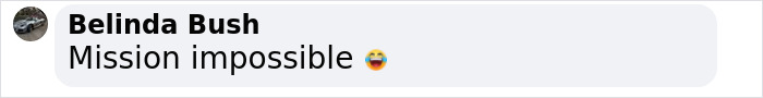 Comment by Belinda Bush saying 'Mission impossible' with a laughing emoji about Blue Origin flight conspiracy theories. Comment by Belinda Bush saying 'Mission impossible' with a laughing emoji about Blue Origin flight conspiracy theories.