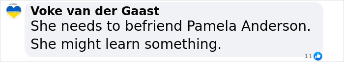 Text comment about Britney Spears and advice on befriending Pamela Anderson. Text comment about Britney Spears and advice on befriending Pamela Anderson.