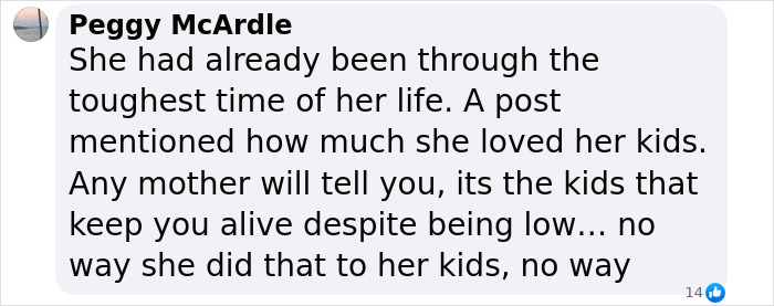 Comment on Virginia Giuffre’s lawyer casting doubt on claim she took her own life, shown in online post. Comment on Virginia Giuffre’s lawyer casting doubt on claim she took her own life, shown in online post.