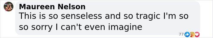 Comment expressing sorrow over a heartbreaking event, highlighting the tragedy's senselessness. Comment expressing sorrow over a heartbreaking event, highlighting the tragedy's senselessness.