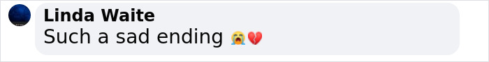 A comment by Linda Waite expressing sadness with emojis. A comment by Linda Waite expressing sadness with emojis.