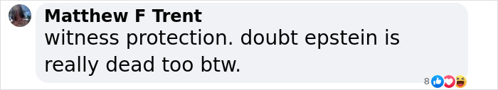 Screenshot of social media comment doubting official accounts of Epstein’s death, related to Virginia Giuffre’s lawyer claims. Screenshot of social media comment doubting official accounts of Epstein’s death, related to Virginia Giuffre’s lawyer claims.