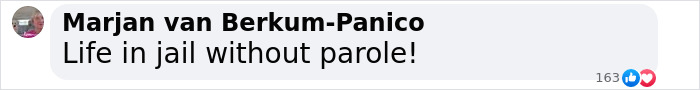 Heartbreaking comment by Marjan van Berkum-Panico stating 'Life in jail without parole!' with reactions below. Heartbreaking comment by Marjan van Berkum-Panico stating 'Life in jail without parole!' with reactions below.