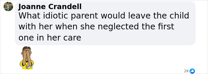 Comment criticizing caretaking, referencing a hot car incident and negligence, with an emoji depicting frustration. Comment criticizing caretaking, referencing a hot car incident and negligence, with an emoji depicting frustration.