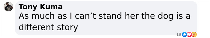 Comment reacts to request for help with sick dog, highlighting different opinions on Rachel Zegler. Comment reacts to request for help with sick dog, highlighting different opinions on Rachel Zegler.