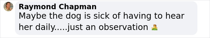 Comment about Rachel Zegler's sick dog from Raymond Chapman, discussing her daily influence. Comment about Rachel Zegler's sick dog from Raymond Chapman, discussing her daily influence.