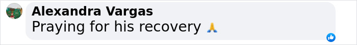 Comment from Alexandra Vargas saying, "Praying for his recovery" with a prayer emoji, discussing Rachel Zegler's dog. Comment from Alexandra Vargas saying, "Praying for his recovery" with a prayer emoji, discussing Rachel Zegler's dog.