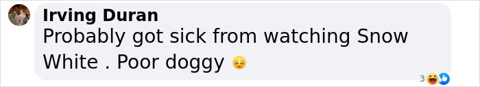 Comment about Rachel Zegler's sick dog, linking it humorously to watching Snow White. Comment about Rachel Zegler's sick dog, linking it humorously to watching Snow White.