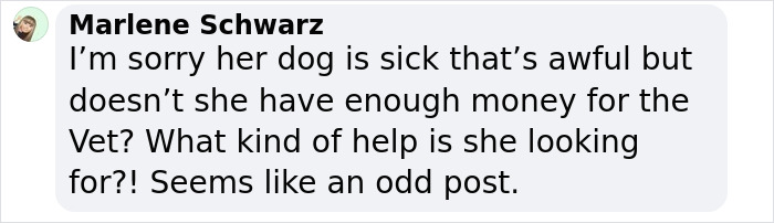 Comment questioning Rachel Zegler's request for help with sick dog, asking about her financial means for the vet. Comment questioning Rachel Zegler's request for help with sick dog, asking about her financial means for the vet.
