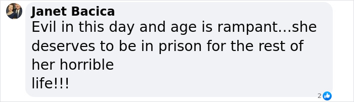Screenshot of a comment condemning the actions of the "evil" mom in horror house case. Screenshot of a comment condemning the actions of the "evil" mom in horror house case.