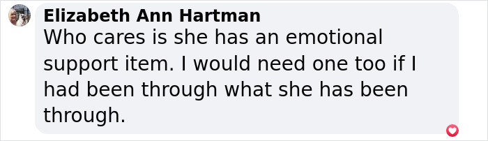 Comment by Elizabeth Ann Hartman about emotional support, referring to Britney Spears' experiences. Comment by Elizabeth Ann Hartman about emotional support, referring to Britney Spears' experiences.