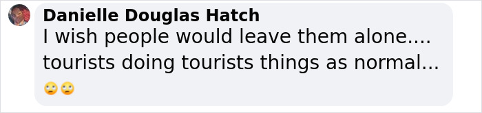 Comment criticizing YouTuber's Diet Coke stunt risking isolated tribe. Comment criticizing YouTuber's Diet Coke stunt risking isolated tribe.