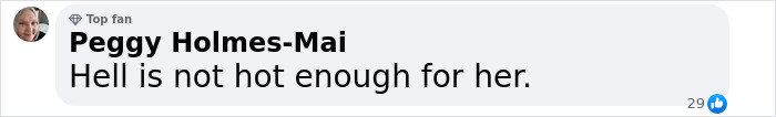 Comment by a user on 'Evil' mom case, expressing strong disapproval. Comment by a user on 'Evil' mom case, expressing strong disapproval.