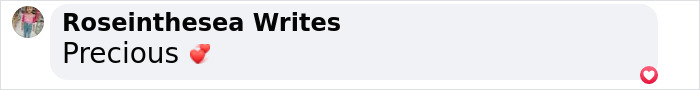Comment reading 'Precious' with heart emoji, referencing viral nun best friend of Pope Francis. Comment reading 'Precious' with heart emoji, referencing viral nun best friend of Pope Francis.