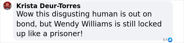 Comment criticizing a "disgusting human" out on bond while Wendy Williams remains imprisoned. Comment criticizing a "disgusting human" out on bond while Wendy Williams remains imprisoned.
