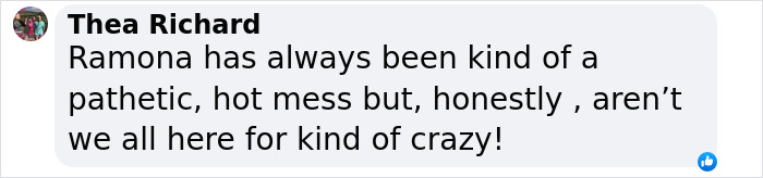 Comment about Ramona Singer being a "hot mess," humorously discussing the appeal of her personality. Comment about Ramona Singer being a "hot mess," humorously discussing the appeal of her personality.