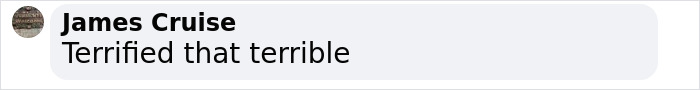 Social media comment bubble with text 'Terrified that terrible' highlighted in gray. Social media comment bubble with text 'Terrified that terrible' highlighted in gray.
