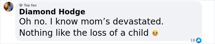 Comment expressing sympathy for the loss of TikTok star Okay Baby, mentioning the devastation of losing a child. Comment expressing sympathy for the loss of TikTok star Okay Baby, mentioning the devastation of losing a child.