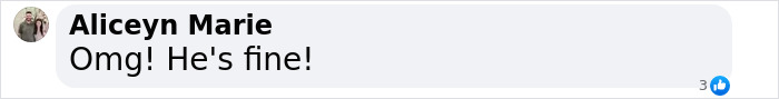 Comment on post about child safety, reading "Omg! He's fine!" with three likes. Comment on post about child safety, reading "Omg! He's fine!" with three likes.