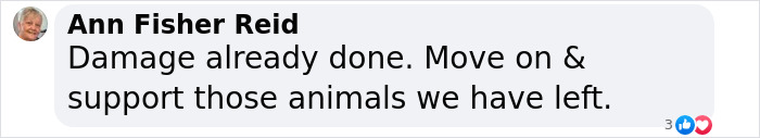 Comment by Ann Fisher Reid on dire wolves' ethical debate, urging focus on existing animals. Comment by Ann Fisher Reid on dire wolves' ethical debate, urging focus on existing animals.