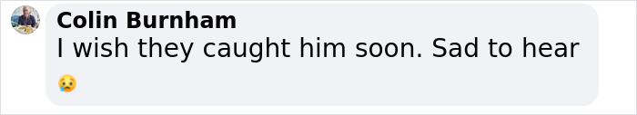 Comment on New England serial horror: user expresses sadness over latest victim. Comment on New England serial horror: user expresses sadness over latest victim.