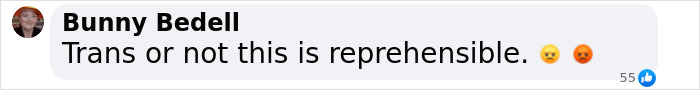 Comment on cisgender woman being fired, labeled "reprehensible" by Bunny Bedell. Comment on cisgender woman being fired, labeled "reprehensible" by Bunny Bedell.