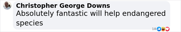 Comment praising resurrection of dire wolves, mentioning benefits to endangered species. Comment praising resurrection of dire wolves, mentioning benefits to endangered species.