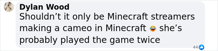 Comment criticizing a streamer’s limited 'Minecraft' experience for a cameo, highlighting Minecraft scene controversy. Comment criticizing a streamer’s limited 'Minecraft' experience for a cameo, highlighting Minecraft scene controversy.
