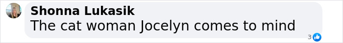 Comment mentioning "The cat woman Jocelyn," relating to Nicole Kidman's transformation. Comment mentioning "The cat woman Jocelyn," relating to Nicole Kidman's transformation.