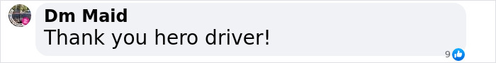 Thank you hero driver!" text highlighting gratitude to heroic delivery driver. Thank you hero driver!" text highlighting gratitude to heroic delivery driver.
