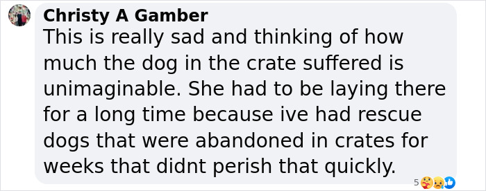 Gene Hackman's dog suffered alone, comment by Christy Gamber discussing the dog’s hardship in a crate. Gene Hackman's dog suffered alone, comment by Christy Gamber discussing the dog’s hardship in a crate.