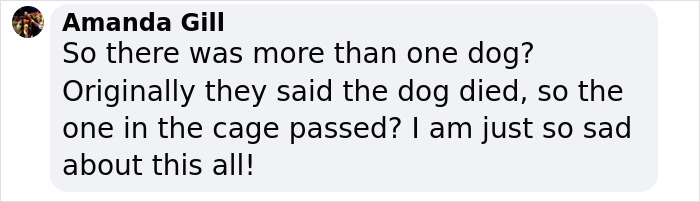 Amanda Gill's comment questioning the fate of Gene Hackman's dog in a Facebook post. Amanda Gill's comment questioning the fate of Gene Hackman's dog in a Facebook post.