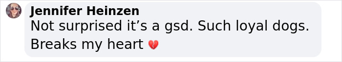 Comment about loyal German Shepherd, expressing heartbreak. Comment about loyal German Shepherd, expressing heartbreak.