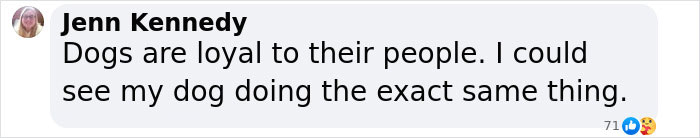 Comment on loyalty, mentioning dogs' devotion, with a user named Jenn Kennedy expressing empathy for a similar situation. Comment on loyalty, mentioning dogs' devotion, with a user named Jenn Kennedy expressing empathy for a similar situation.