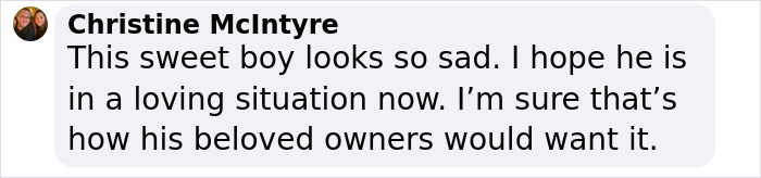 Comment by Christine McIntyre expressing sadness over a dog's situation after watching over a couple's bodies. Comment by Christine McIntyre expressing sadness over a dog's situation after watching over a couple's bodies.