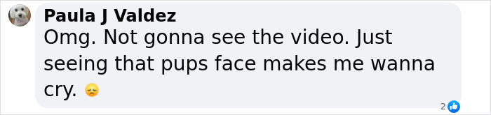 Comment about Gene Hackman's dog's expression, stirring emotions in viewers. Comment about Gene Hackman's dog's expression, stirring emotions in viewers.
