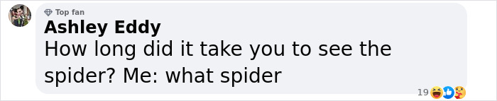 Comment by Ashley Eddy discussing a hidden spider in a photo. Comment by Ashley Eddy discussing a hidden spider in a photo.