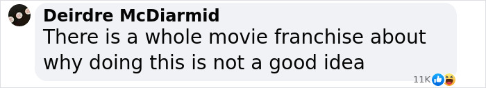 Comment discussing dire wolves' resurrection sparking ethical debate using movie franchise comparison. Comment discussing dire wolves' resurrection sparking ethical debate using movie franchise comparison.