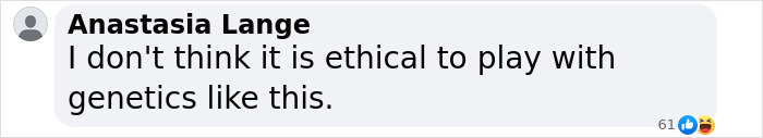 Comment expressing ethical concerns about resurrecting dire wolves. Comment expressing ethical concerns about resurrecting dire wolves.