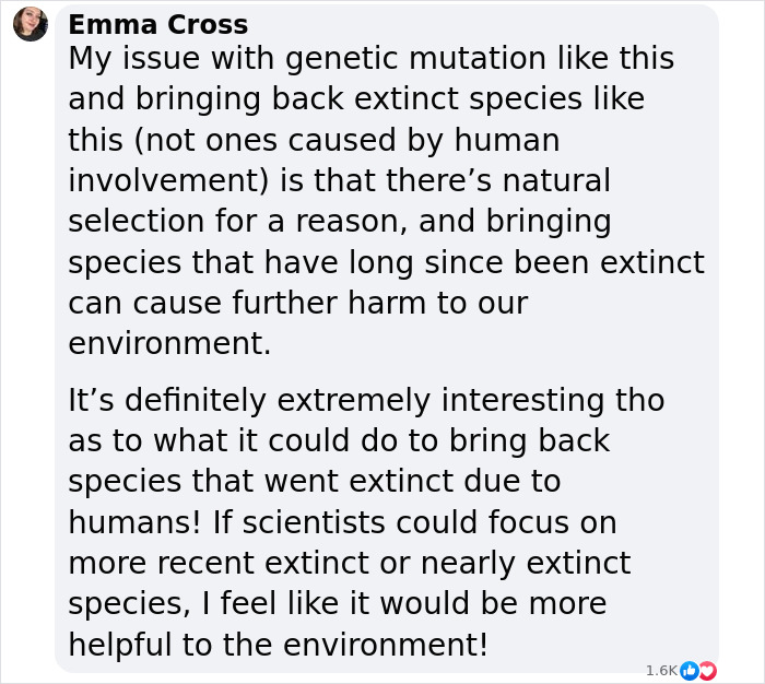 Ethical debate on resurrecting extinct species like dire wolves; text highlighting concerns about environmental impact. Ethical debate on resurrecting extinct species like dire wolves; text highlighting concerns about environmental impact.