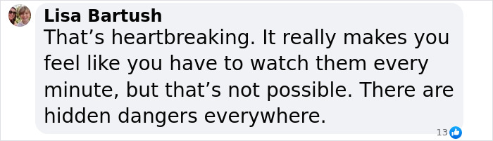 Comment on parenting influencer's tragic loss, highlighting hidden dangers and parenting challenges. Comment on parenting influencer's tragic loss, highlighting hidden dangers and parenting challenges.
