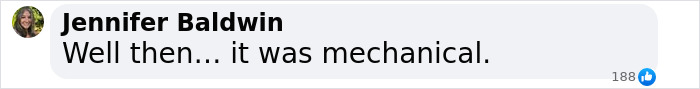 Text message from Jennifer Baldwin saying, 'Well then... it was mechanical,' related to Hudson River crash. Text message from Jennifer Baldwin saying, 'Well then... it was mechanical,' related to Hudson River crash.